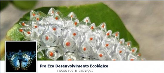 Pro Eco produtos